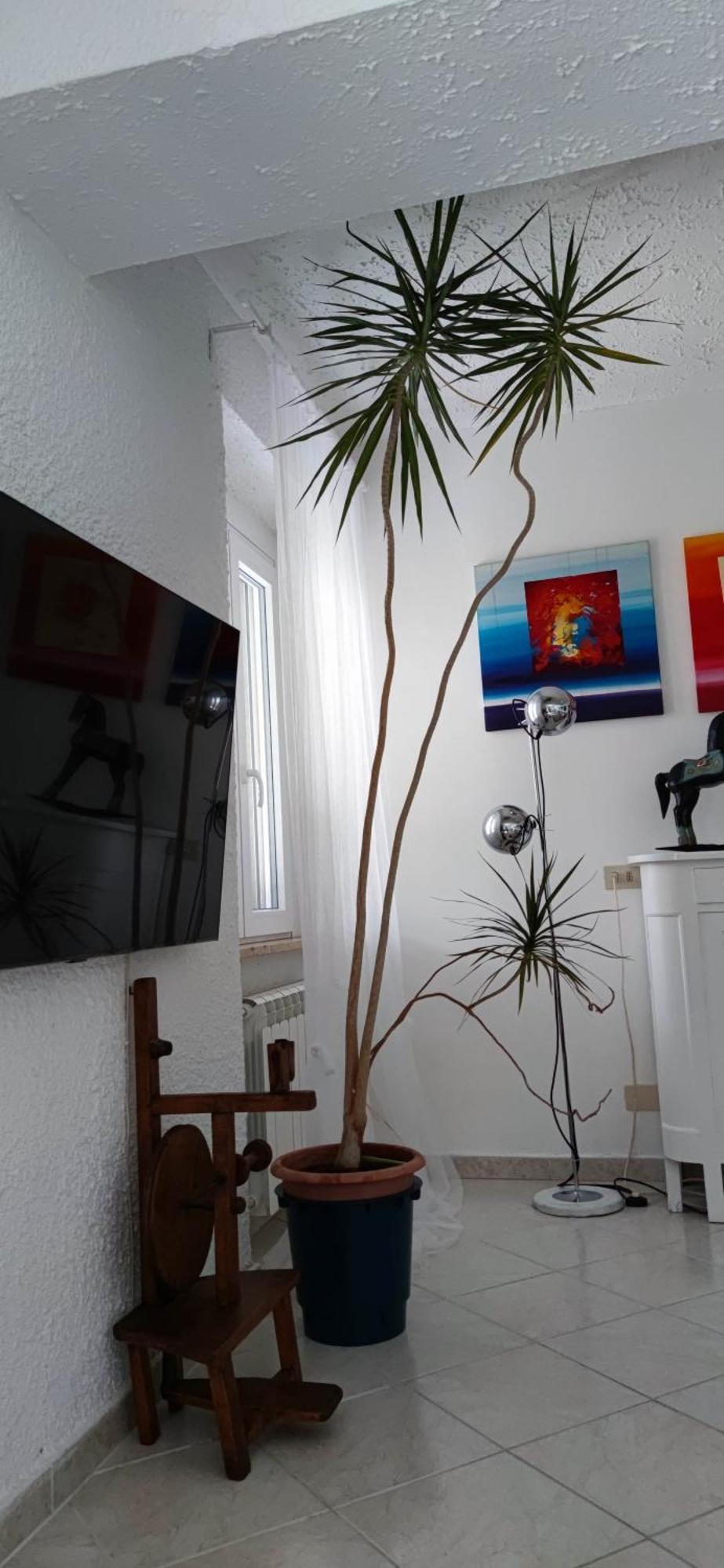 Residenza Bertolini Apartment Fosdinovo Bagian luar foto