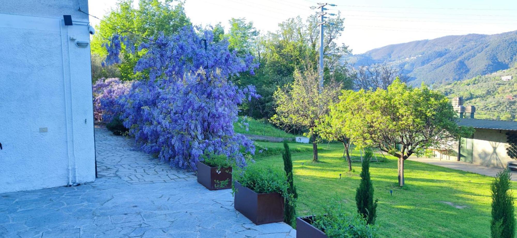 Residenza Bertolini Apartment Fosdinovo Bagian luar foto